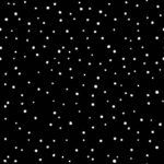 Nitty Gritties - Mini Dots - Black