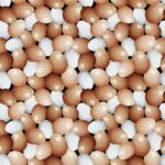 Out to Pasture - Eggs - Ivory