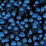 Jardin De Lune Glow - Mushrooms - Black