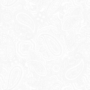 Paisley Jane 108 - Blank Quilting