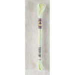 DMC Mouliné Colour Variations Stranded Cotton - 4060 - Weeping Willow