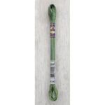 DMC Mouliné Colour Variations Stranded Cotton - 4045 - Evergreen Forest