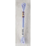 DMC Mouliné Colour Variations Stranded Cotton - 4220 - Lavender Fields
