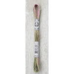 DMC Mouliné Coloris Stranded Cotton - 4500 (Columbine Garden)