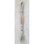 DMC Mouliné Coloris Stranded Cotton - 4501 (Wildflowers)