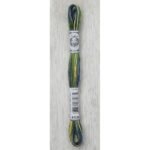 DMC Mouliné Coloris Stranded Cotton - 4506 (Spring)