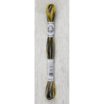 DMC Mouliné Coloris Stranded Cotton - 4521 (Great Outdoors)