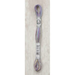 DMC Mouliné Coloris Stranded Cotton - 4523 (North Wind)