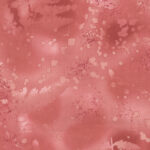 Fossil Fern Wide 108 - Painted Sunrise (II)