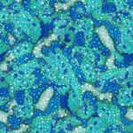 Stay Magical - Texture - Cyan
