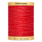 Natural Cotton Thread Variegated - 800m - 9973
