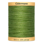 Natural Cotton Thread Variegated - 800m - 9994