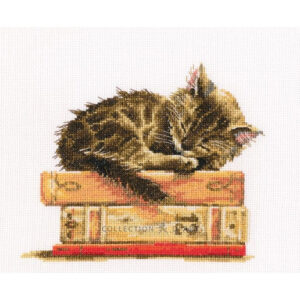 RTO Cats Dream Cross Stitch Kit