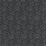Black & White - Rocky - Black