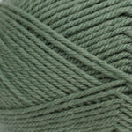 Broadway Yarns Baby Supremo 4 Ply - 2001 Kale