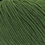 Broadway Yarns Merino DK - 06 Basil