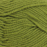 Broadway Yarns NZ Merino DK - 6282 Leaf Green