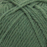 Broadway Yarns Purely Wool DK - 953 Basil