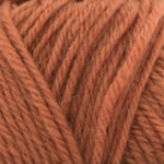 Broadway Yarns Purely Wool DK - 9805 Cinnamon