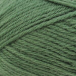 Broadway Yarns Purely Wool DK - 9806 Hunter