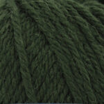 Broadway Yarns Purely Wool DK - 9807 Pine