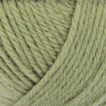 Broadway Yarns Purely Wool DK - 9808 Olive