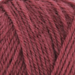 Broadway Yarns Purely Wool DK - 9810 Rum Raisin