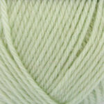 Broadway Yarns Purely Wool DK - 9812 Light Pistachio
