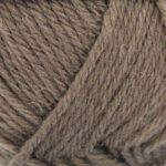 Broadway Yarns Purely Wool DK - 9816 Wild Earth