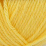 Broadway Yarns Purely Wool DK - 9819 Daffodil