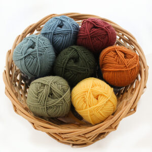 DFPW_basketwinter