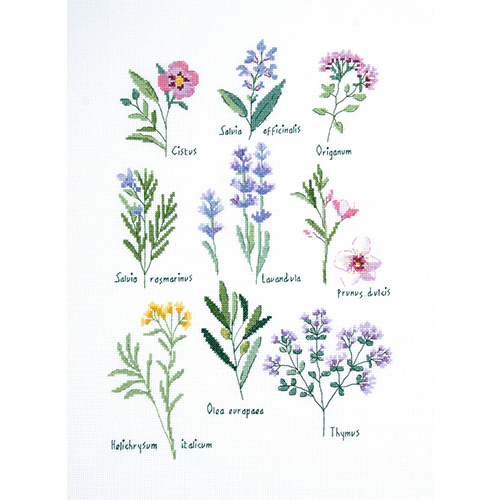 Herbs - Image 3