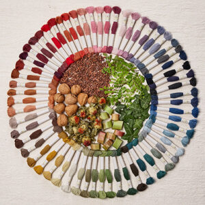 Ecovita Organic Wool