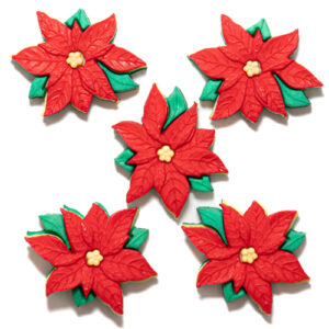 Red Poinsettias