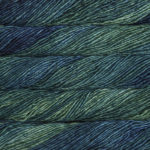 Malabrigo Mecha Superwash Bulky Yarn - 809 Solis