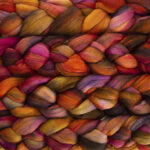 Malabrigo Nube Roving - 658 Zinnias