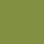 Maywood Studio Kimberbell Solids - Prickly Pear