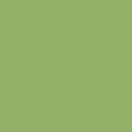 Maywood Studio Kimberbell Solids - Shamrock