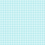 Maywood Studio Beautiful Basics - Classic Check - Aruba Blue