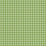 Maywood Studio Beautiful Basics - Classic Check - Spring Green