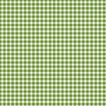 Maywood Studio Beautiful Basics - Classic Check - Green Grass