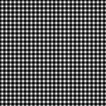 Maywood Studio Beautiful Basics - Classic Check - Black/White