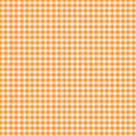 Maywood Studio Beautiful Basics - Classic Check - Parsimmon Orange