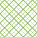 Maywood Studio Kimberbell Basics - Plaid - Green