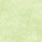 Maywood Studio Shadow Play Flannel - Butterfly Green