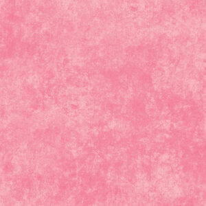 Maywood Studio Shadow Play Flannel