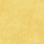 Maywood Studio Shadow Play Flannel - Baby Chick