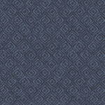 Maywood Studio Woolies Flannel - On Point - Blue