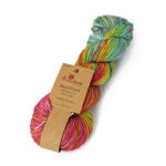 Broadway Yarns Hand Dyed Merino DK - 312 Summer Sunshine