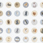 Maywood Studio Whiskers & Paws - Running Circle - Dogs/Multi